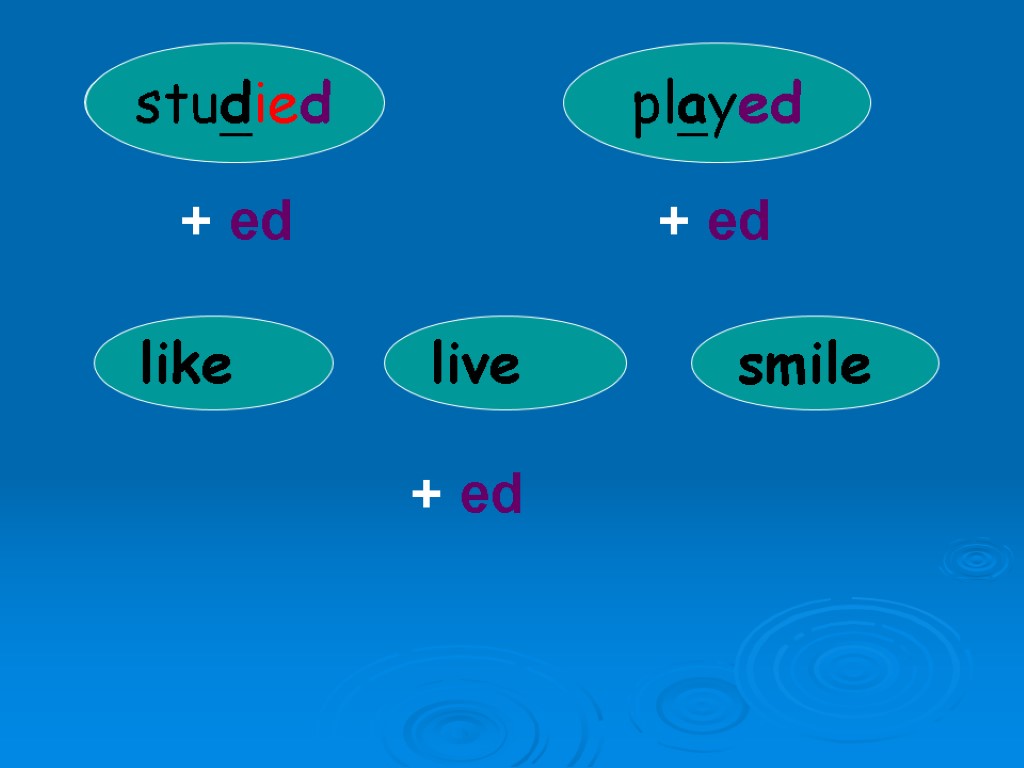 study play + ed + ed studied played like live smile + ed d